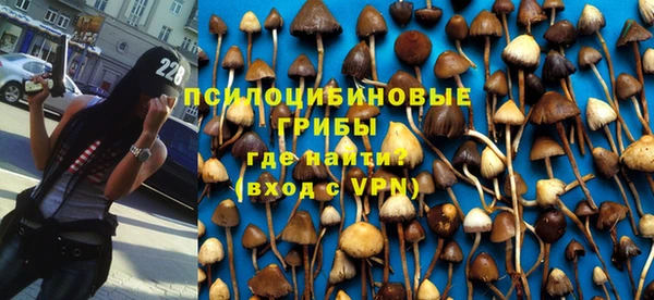 Альфа ПВП Михайловск