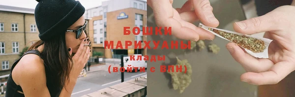 молекула духа Михайлов
