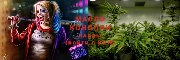 молекула духа Михайлов