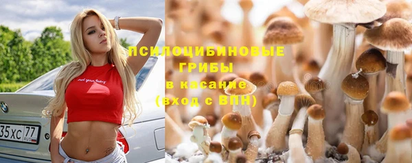 Альфа ПВП Михайловск