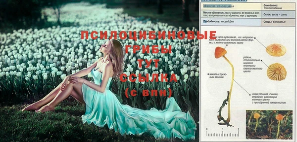 кокс Михайловка