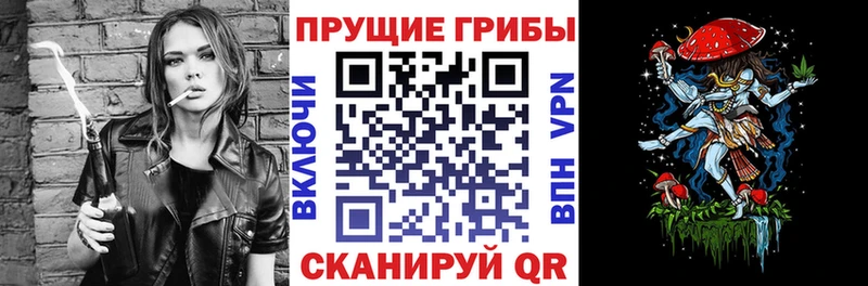 Псилоцибиновые грибы Psilocybine cubensis  хочу наркоту  Холмск 
